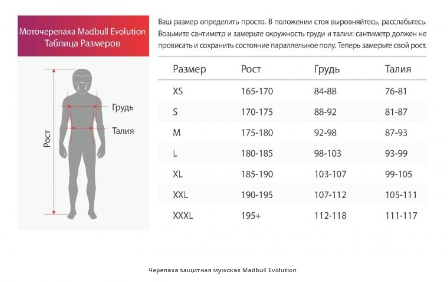 Моточерепаха размеры